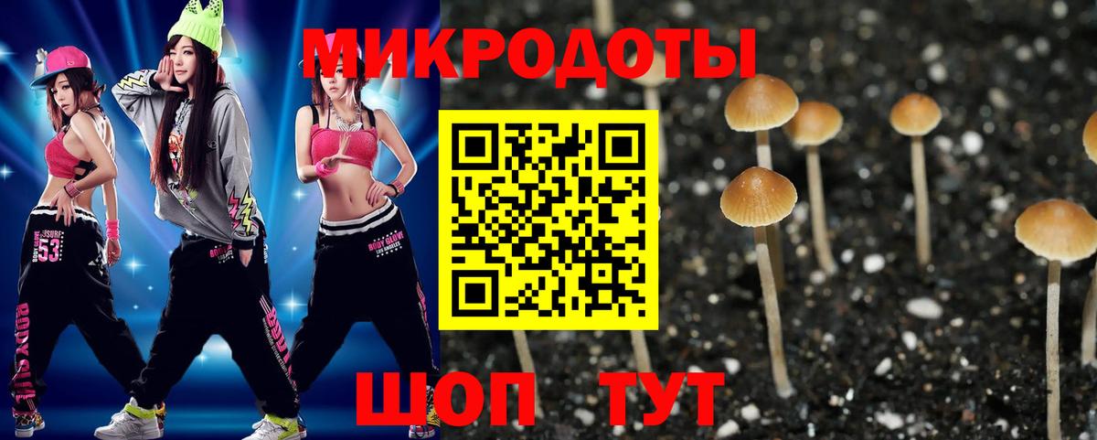Галлюциногенные грибы GOLDEN TEACHER  Псилоцибиновые грибы Cubensis  Вход с VPN  Каменск-Уральский 